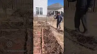 2024 gardening started #shorts #garden #backyardgardening #plants #gardendecor #viral #youtubeshorts