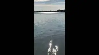 11 ноября 2024 г.