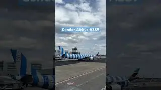 Airbus A330 NEO✈️ Condor Airlines👉have YOU ever had 😎BLUE Strips❓ #shorts