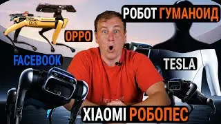 Xiaomi робопес | OPPO рисунок вен | Илон Маск Робот ГУМАНОИД | Facebook шифрование