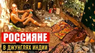 SHOCK!!! Russians living in the Indian jungle. GOA 🌴