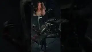 Все что нужно знать о соулс играх 