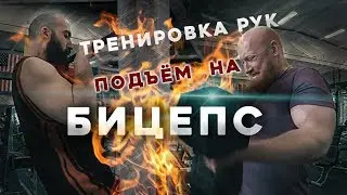 Тренировка рук. Подъем на бицепс и подтягивания