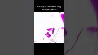 а что видят сапорты когда в них летит степ ???