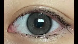 [아이돌렌즈] 유리알 얼그레이 보정 없는 솔직 리뷰 / [IDOL LENS] YURIAL EARL GRAY COLOR CONTACT LENS REVIEW