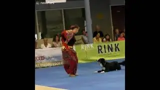 Perro danzando 💃🐩