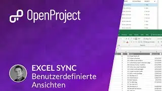 OpenProject Excel Synchronization - 2. User-Defined Views