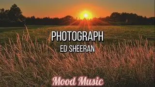 Photograph - Ed Sheeran - Lyrics