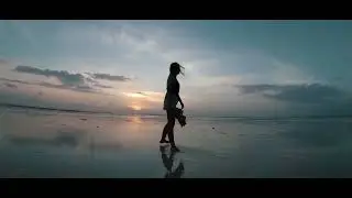 Entrepreneurship Promotional Video