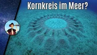 Kornkreise im Meer? Was steckt dahinter? | NeugierZone