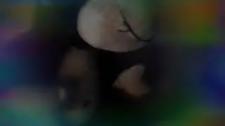 Живот-вот