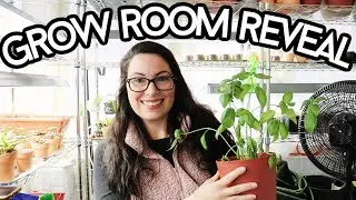 How I TRIPLED my Seed Starting Space! | Homestead Dreaming