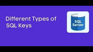 Entity Constraints