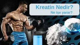 Kreatin nedir? Nasıl kullanılır? Faydaları ve zararları nelerdir? ( Bilimsel Araştırma ) #fitness