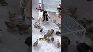 The best bird trap ever 😳