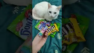 распаковка подарка на новый год #новыйгод #popular #конфеты #подарок