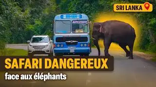 Ces touristes découvrent le quotidien perturbé des éléphants et de ces habitants