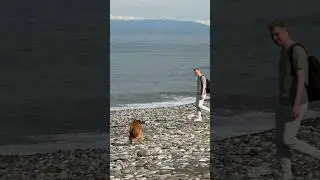 Batumi 🤤