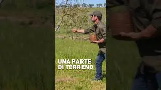 Come tagliare l'ERBA? Puoi usare un trattorino elettrico 