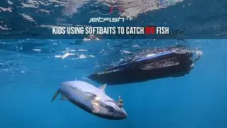 How to use softbaits to catch Big fish mid water