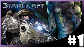 He did what?!? | Starcraft 2 | COOP