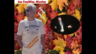 les feuilles mortes  cover (Version musicale de Michel Jonasz)