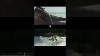 Tyrannosaurus rex vs deinonychus