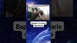 Bapak Bapak Hampir di perkosa Kuda 