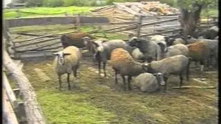 Реабилитационный центр Усть-Лабинск