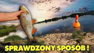STARE METODY WĘDKARSKIE NIGDY NIE ZAWODZĄ !