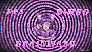 Better Bimbo Brainwashing: Bimbo Pet
