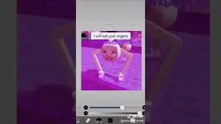 (Approximately) 6 minutes of random HI3 TikToks (read desc ig)