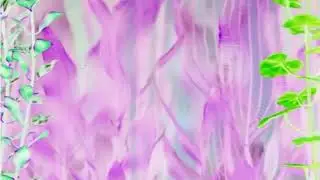 Finding Nemo End Credits in G Major