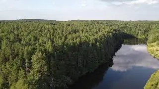 полет над лесным прудом dji mavic mini