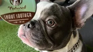 FRENCH BULLDOG SNOUT SOOTHER (NOSE MOISTURIZER) 