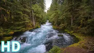 River Flow | Royalty Free | Stock Footage | No copyright Video