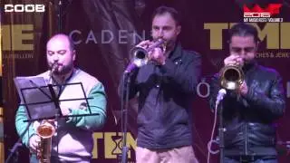 Musicology Band (MMF 2016)