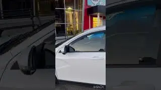 Белая Веста в белой ночи