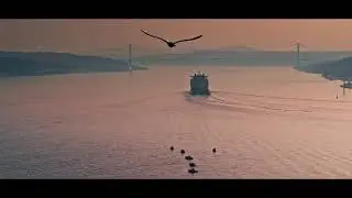 DP World | The Move to -15