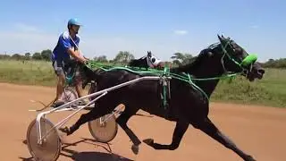 Pacuan Kuda Bendi .. Latihan ..hayuu