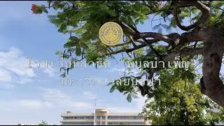ฝ่ายประถมศึกษา โรงเรียนสาธิต 