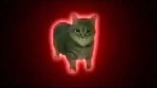 ⚡Oiiaioooooiai, But Psytrance Style⚡Spinning Cat Meme 🎵