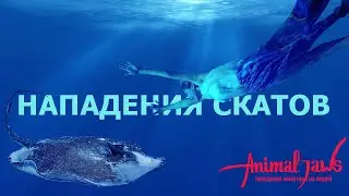 Stingray attacks on people. The stingray hit the guy in the dick