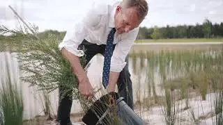 500,000 trees planted to green our city