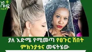 ያለ እድሜ የሚመጣ የፀጉር ሽበት ምክንያቱና መፍትሄው