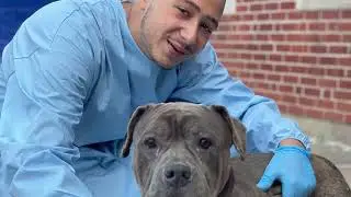 BVSPCA: Our Footprint Has No Border