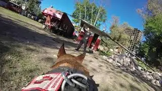 BUSQUEDA EN COLAPSADAS - K9 - GOPRO - BRAVO - ACECC - 2016 - TRAINING