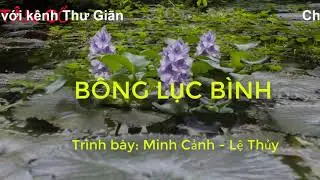 Tân cổ Bông Lục Bình