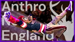 Boston's Furry Convention: Anthro New England 2024