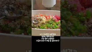 자주사용하는 살림템 7가지